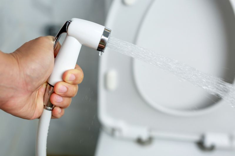 Cost of Bidet Repair Service in Redlands, CA