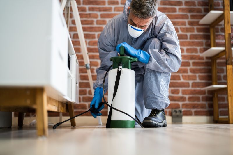Insect Control Service