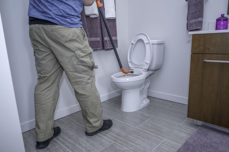 Toilet Plunging