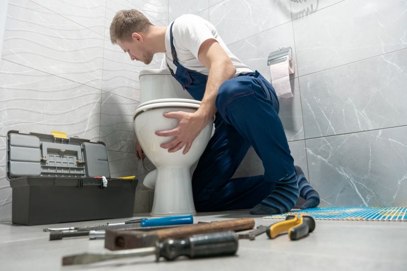 Toilet Snaking